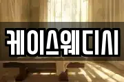 케이스웨디시