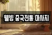 웰빙 중국전통 마사지