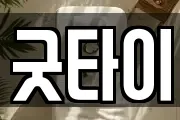 굿타이