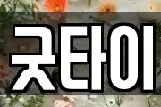 굿타이