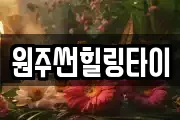 원주썬힐링타이