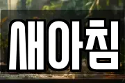 새아침