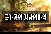국가공인 강남안마원