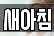 새아침