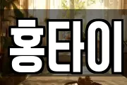 홍타이