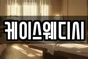 케이스웨디시