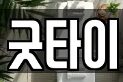 굿타이