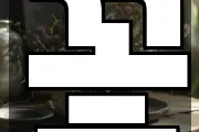 꽃