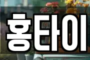 홍타이