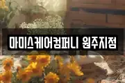 마미스케어컴퍼니 원주지점