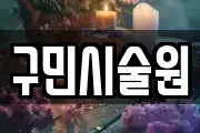 구민시술원