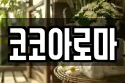 코코아로마