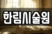 한림시술원