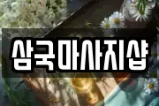 강원 정선군 정선읍 마사지, 지압등 업체정보