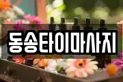 강원 철원군 마사지, 지압등 업체정보