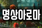 명상아로마