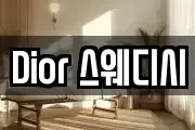 Dior 스웨디시