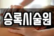 승록시술원