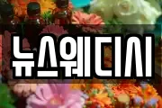 뉴스웨디시