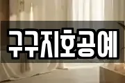 구구지호공예