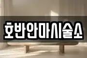 호반안마시술소