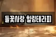 들꽃사랑 힐링테라피
