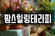 강원 춘천시 신동 마사지, 지압등 업체정보