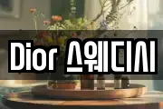 Dior 스웨디시