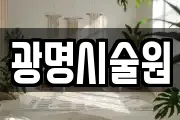 광명시술원