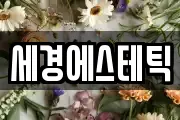 세경에스테틱