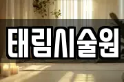 강원 춘천시 조양동 마사지, 지압등 업체정보