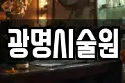강원 춘천시 죽림동 마사지, 지압등 업체정보