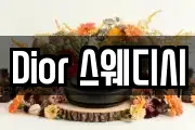 Dior 스웨디시