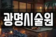 광명시술원