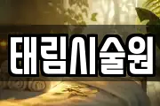 태림시술원