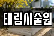 태림시술원