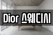Dior 스웨디시