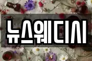 뉴스웨디시