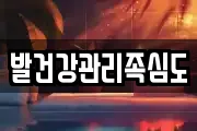 발건강관리족심도
