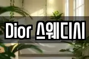 Dior 스웨디시