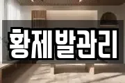 황제발관리