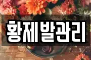 황제발관리