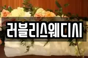 러블리스웨디시