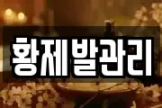 황제발관리