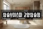 삼송브이스파 고양삼송점