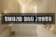 정체테라피 마사지 고양화정점