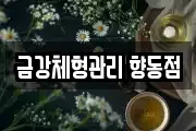 금강체형관리 향동점