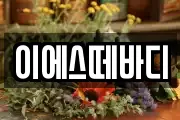 이에스떼바디