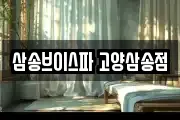 삼송브이스파 고양삼송점