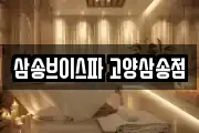 삼송브이스파 고양삼송점
